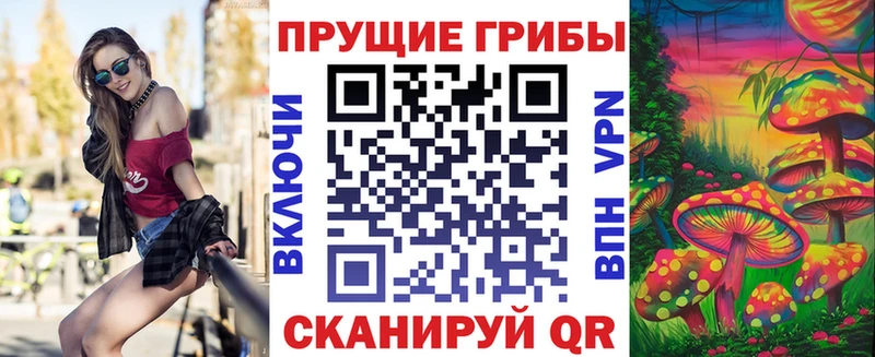 как найти кракен tor Галлюциногенные грибы MAGIC MUSHROOMS Североуральск